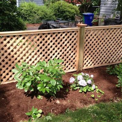 Lattice Fense 7e109e15 1920w