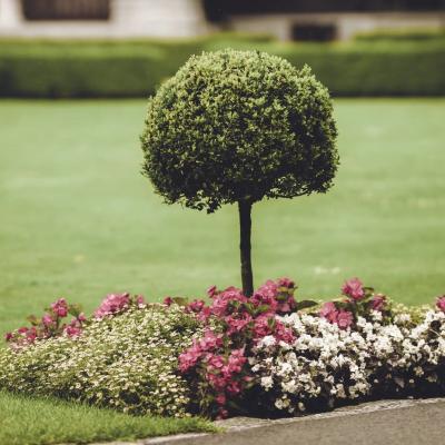 Pexels Photo 2832040 Da8fc7fe 1920w