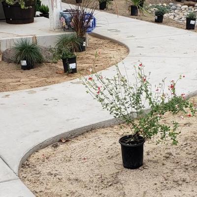 Resized 20211115 102510 1920w